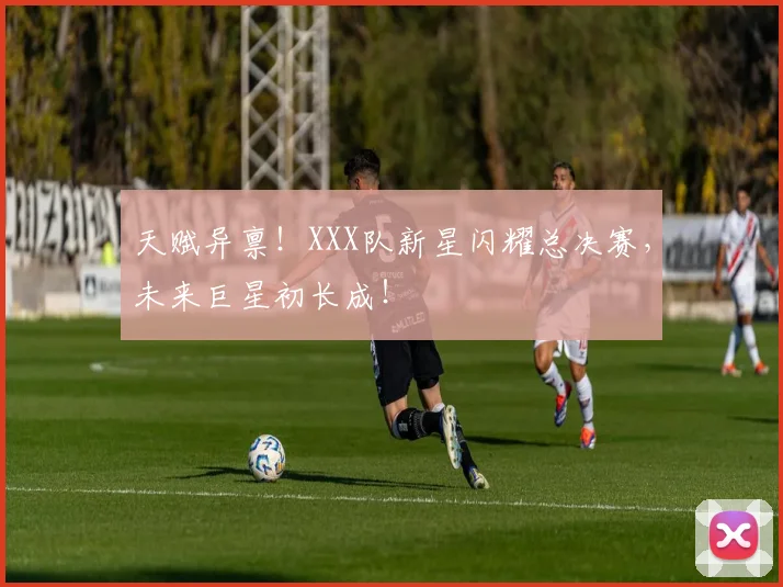 天赋异禀！XXX队新星闪耀总决赛，未来巨星初长成！