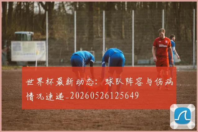 世界杯最新动态：球队阵容与伤病情况速递_20260526125649